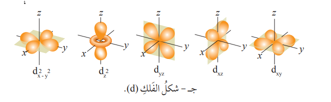 عدد الكم الفرعي   (ℓ)   %D8%B4%D9%83%D9%84%20%D8%A7%D9%84%D9%81%D9%84%D9%83%20d%20_1653994420