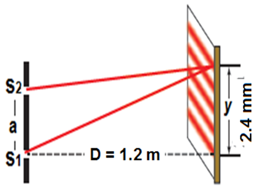 تداخل الشق المزدوج